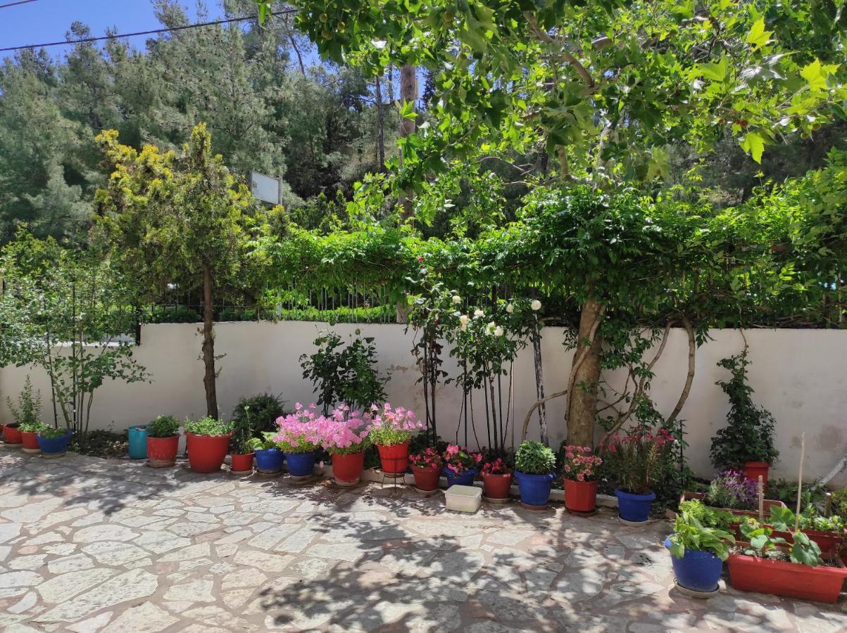 Casa Stella Daire Agía Triás Dış mekan fotoğraf